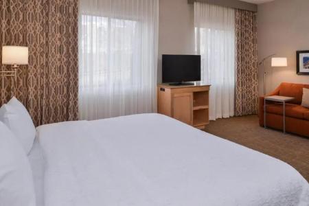 Hampton Inn & Suites Denver-Speer Boulevard - 83