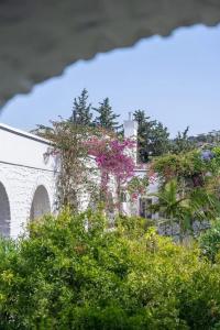 Karia Princess - 32