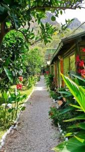 Olympos Yakamoz Pansiyon - 10