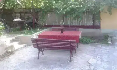 Лимон - 13