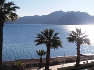 Uysal Motel Beach - 56