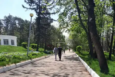 Изумрудный - 11