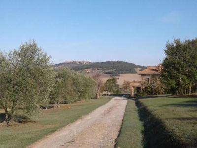 Agriturismo Barbi - 16
