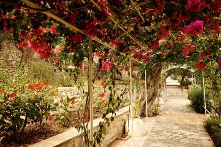 Paxos Beach - 13