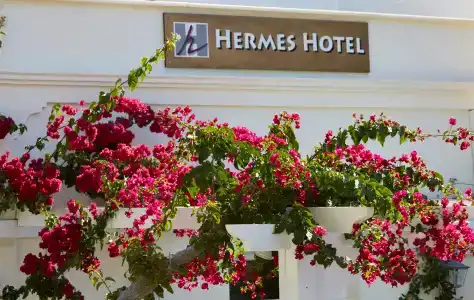 Hermes - 0