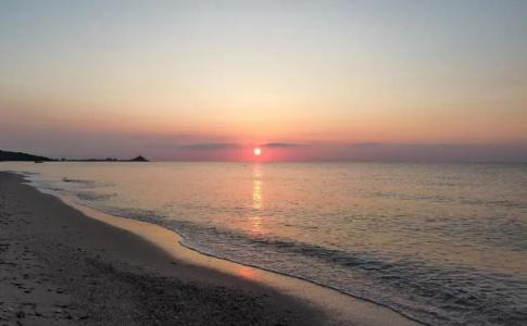 Mare Pineta - 44