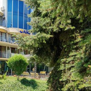 Koral - Free Parking - 45