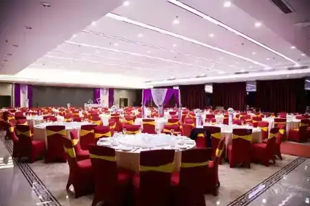 Guangdong - 19