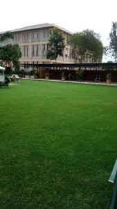 Lush Garden - 26