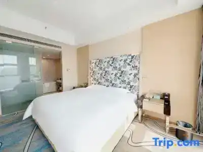 Chongqing Wenyue - 48