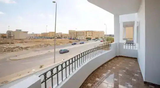 Al Manzel Sheikh Zayed - 91