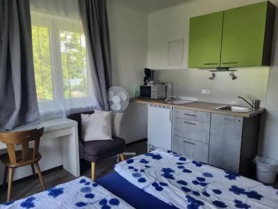 Pension Waldesruh - 75