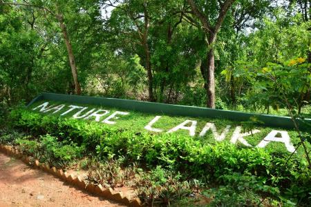 Nature Lanka Ayurveda Resort - All Meals and Ayurveda Treatments with Yoga - 17