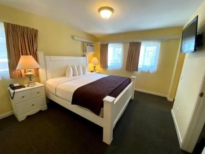 Hollywood Celebrity - 21