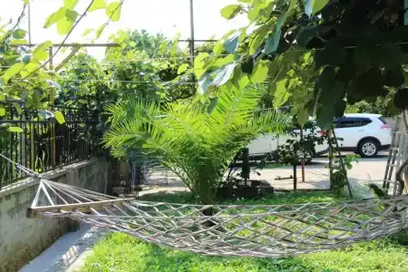 Green House - 30