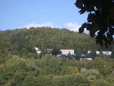 Waldcafé Jäger - 22