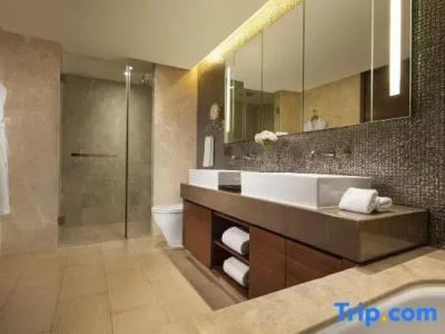 Ascott Raffles City - 95