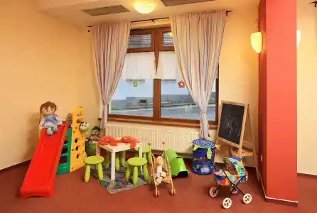 Záviš z Falkenštejna - 21