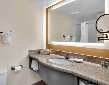 Best Western Orlando Gateway - 63