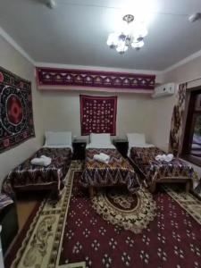 Заргарон - 24