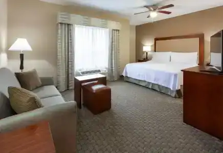 Homewood Suites by Hilton Mayo Clinic-St. Marys Campus - 84