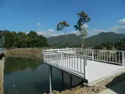Pai Iyara - 23