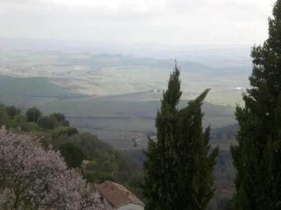 Vecchia Oliviera - 20