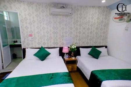 catba island - 80