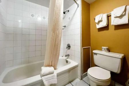 Econo Lodge Village - 79