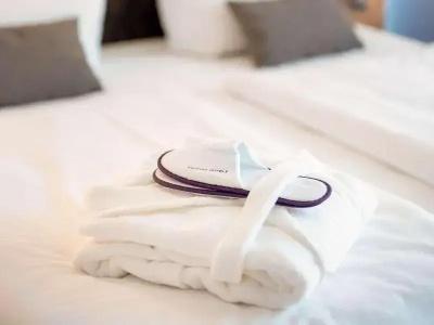 Mercure Mainz City Center - 102