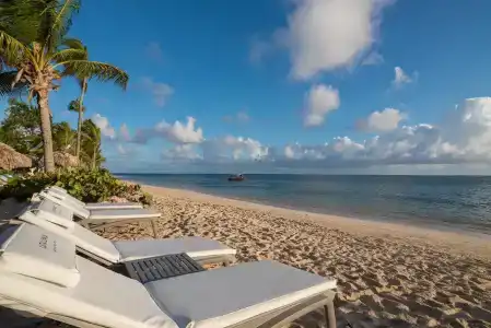 Catalonia Royal Bavaro - All Inclusive - Adults Only - 24