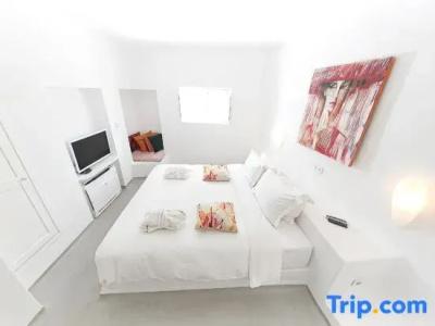 Trieris Villa & Suites - 95