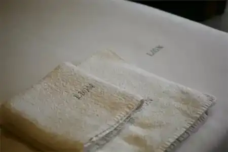 Lion - 17