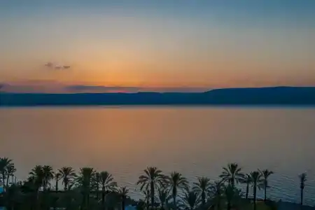 Leonardo Tiberias - 17