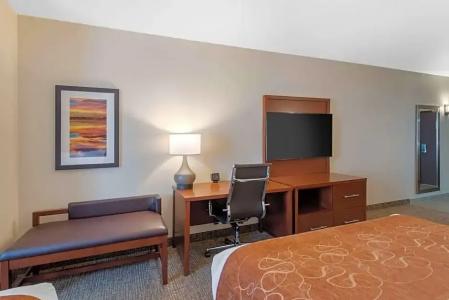 Comfort Suites Denver International Airport - 25