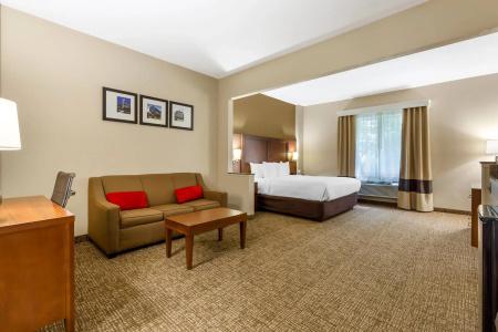 Comfort Suites Walnut Creek - 5