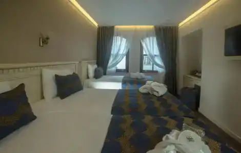 Sarnic & Sarnic Premier(Ottoman Mansion) - 67