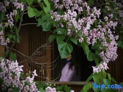 My Love Inn - 148
