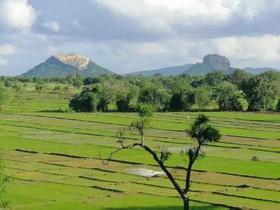 Organic Garden Sigiriya - 17