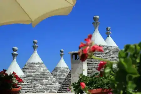 B&B Masseria Peppeturro - 103