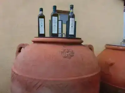 Agriturismo Circugnano - 9