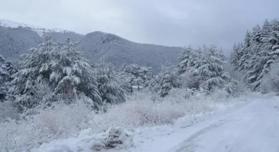 Panorama - 15