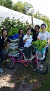 Banpu Resort Trat - 19