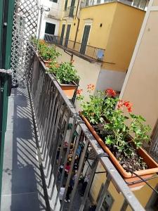 Antica Repubblica Amalfi - 118