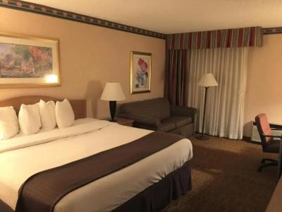 Americas Best Value Inn & Suites-Boise - 38