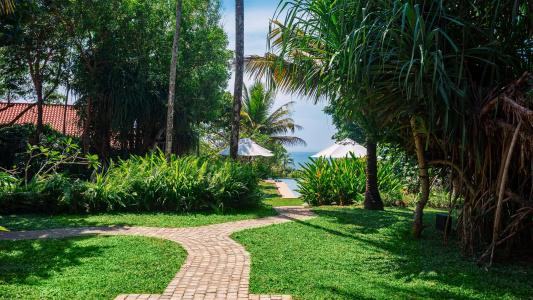 Cape Weligama - 109