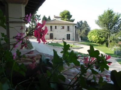 Tenuta Pizzogallo - 22