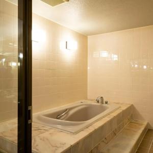 Shingen-No-Yu Yumura Onsen Tokiwa - 15