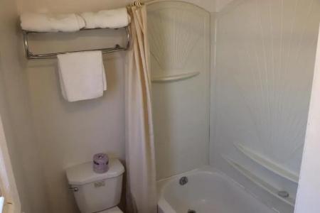 Falcon Inn - 41