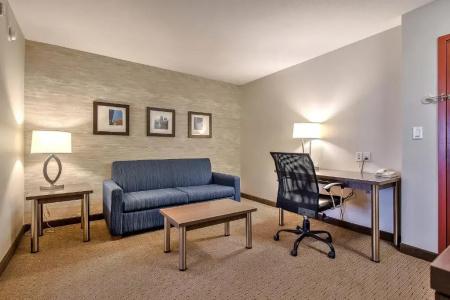 Comfort Inn & Suites South - 40